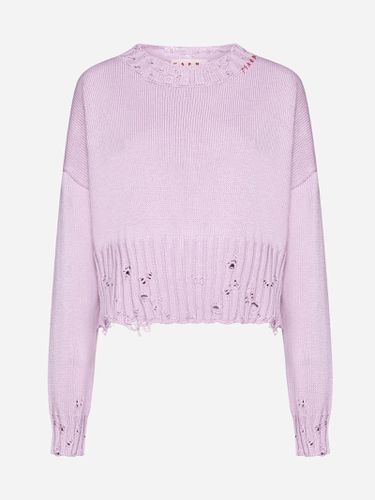 Marni Cotton Cropped Sweater - Marni - Modalova