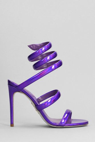 Cleo Sandals In Patent Leather - René Caovilla - Modalova