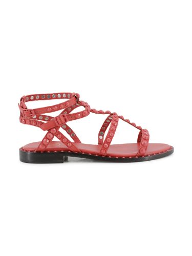 Ash Precious Bis Sandals - Ash - Modalova