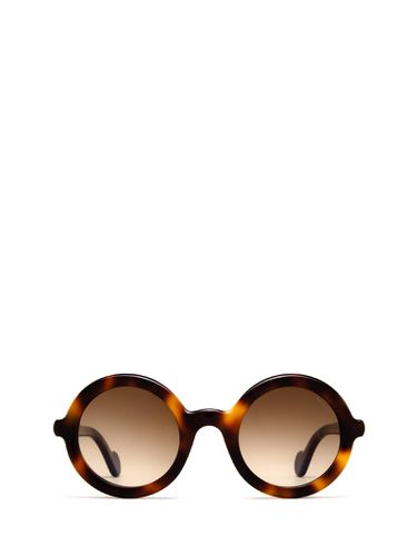 Ml0005 Dark Havana Sunglasses - Moncler - Modalova