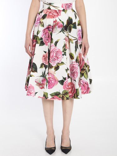 Midi Flared Floral Skirt - Dolce & Gabbana - Modalova