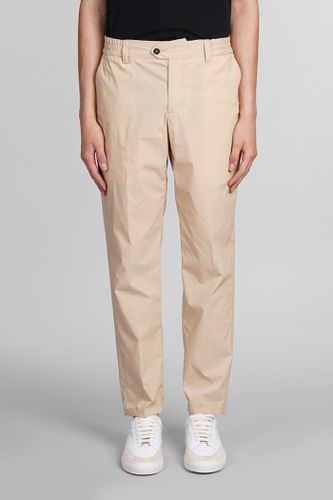 PT Torino Pants In Beige Cotton - PT Torino - Modalova