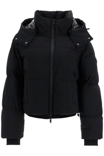 Misti Short Down Jacket - Moose Knuckles - Modalova