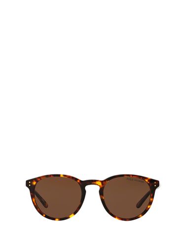 Ph4110 513473 Havana Sunglasses - Polo Ralph Lauren - Modalova