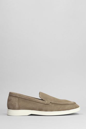 Edition 11 Low Loafers In Suede - National Standard - Modalova