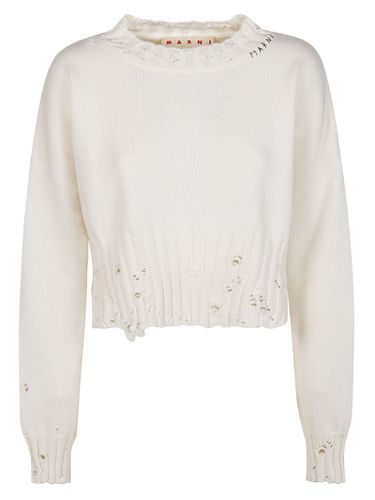 Marni Cropped Roundneck Sweater - Marni - Modalova
