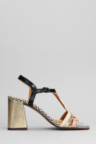 Piyata Sandals In Leather - Chie Mihara - Modalova