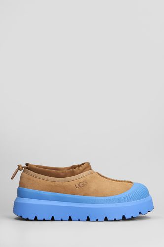 Tasman Weather Hybri Sneakers In Leather Color Suede - UGG - Modalova