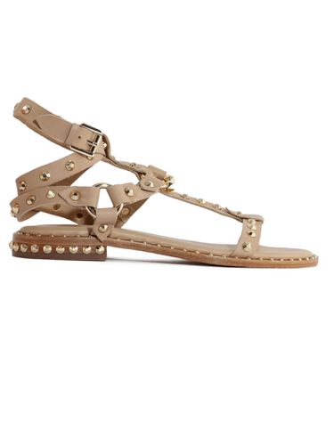 Ash Beige Leather Pulp Sandals - Ash - Modalova