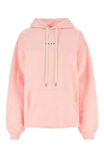 Marni Pink Cotton Sweatshirt - Marni - Modalova