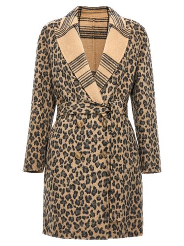 TwinSet Animalier Coat - TwinSet - Modalova