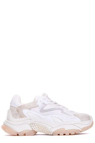 Ash Addict Mesh Panelled Sneakers - Ash - Modalova