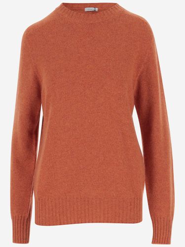 Malo Cashmere Sweater - Malo - Modalova