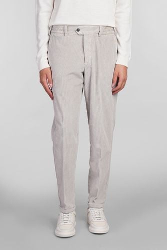 PT Torino Pants In Beige Cotton - PT Torino - Modalova