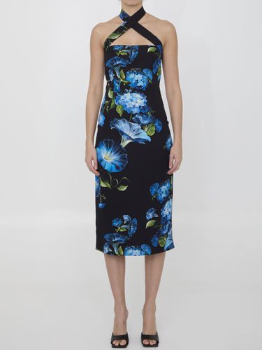 Fiore Campanule Print Dress - Dolce & Gabbana - Modalova