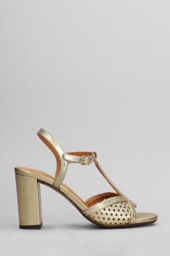 Bechill Sandals In Leather - Chie Mihara - Modalova