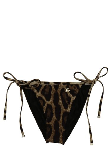 Animal Print Bikini Briefs - Dolce & Gabbana - Modalova