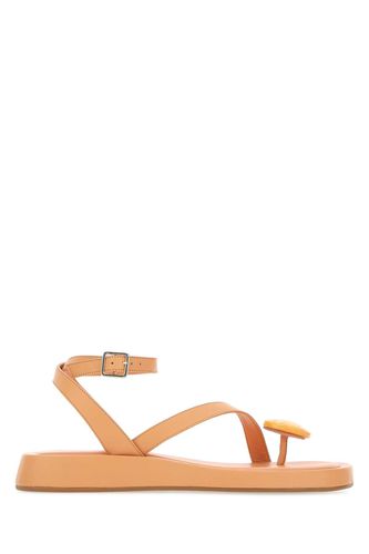 Peach Leather Rosie 18 Thong Sandals - GIA BORGHINI - Modalova