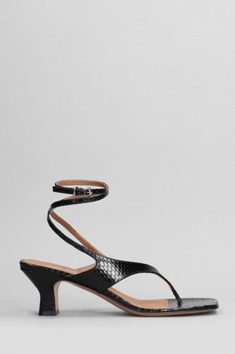 Portofino Sandals In Leather - Paris Texas - Modalova