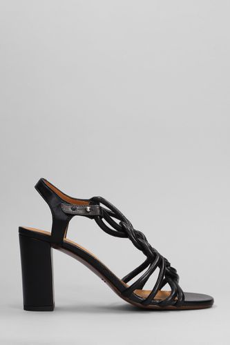 Bane Sandals In Leather - Chie Mihara - Modalova