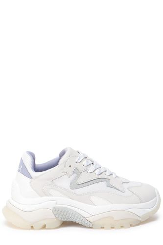 Ash Addict Chunky Lace-up Sneakers - Ash - Modalova