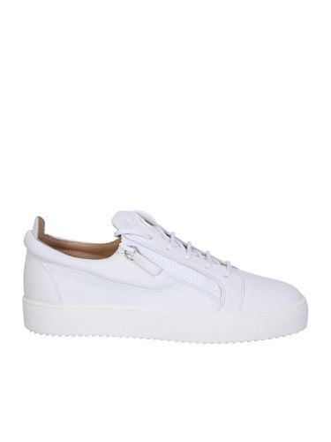 Frankie Low-top Sneakers In - Giuseppe Zanotti - Modalova