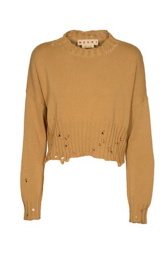 Marni Cropped Jumper - Marni - Modalova