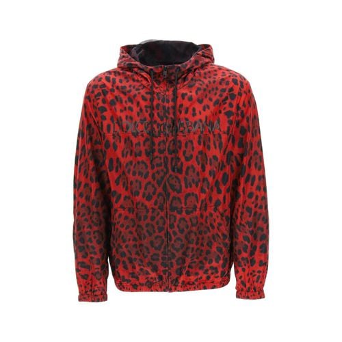 Jacket With Animal Print - Dolce & Gabbana - Modalova