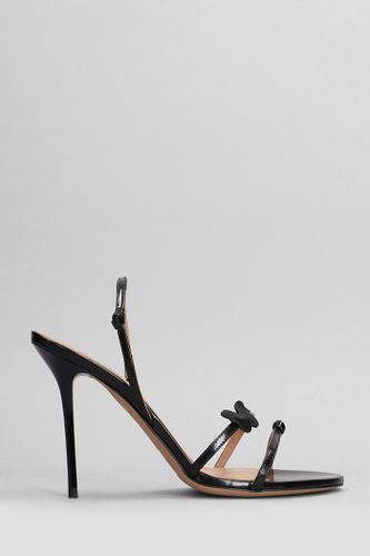 Aura Sandals In Leather - Blumarine - Modalova