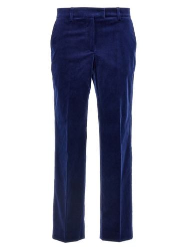 Alberto Biani Velvet Pants - Alberto Biani - Modalova