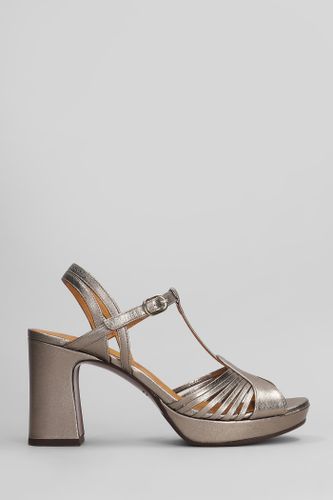 Kija 46 Sandals In Leather - Chie Mihara - Modalova