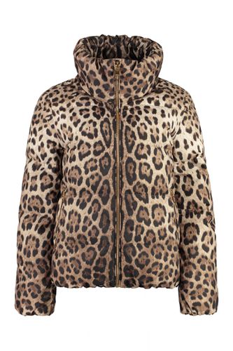 Leopard Print Short Down Jacket - Dolce & Gabbana - Modalova