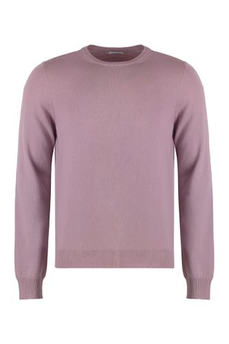 Malo Cashmere Sweater - Malo - Modalova