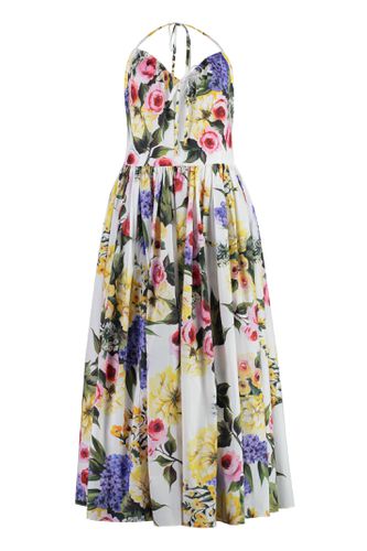 Printed Cotton Dress - Dolce & Gabbana - Modalova