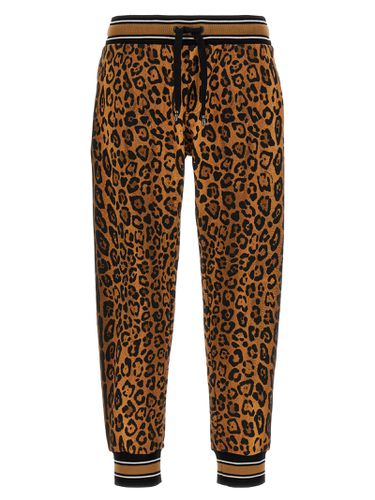 Animal Print Trousers - Dolce & Gabbana - Modalova
