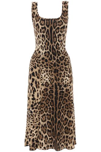 Leopard-print Midi Dress - Dolce & Gabbana - Modalova