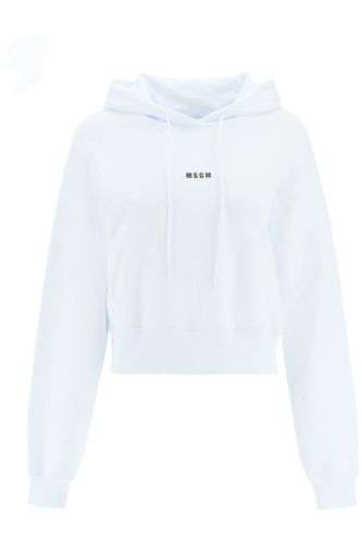 MSGM Small Logo Cropped Sweatshirt - MSGM - Modalova