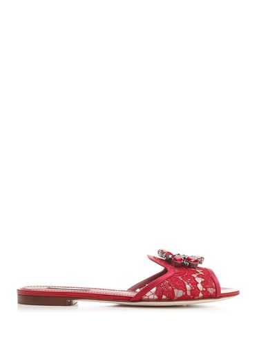 Taormina Lace Sandals - Dolce & Gabbana - Modalova