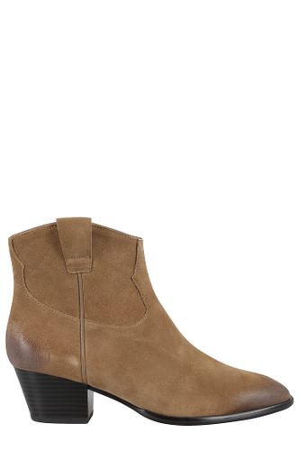 Ash Suede Velours - Ash - Modalova