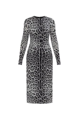 Animal Printed Midi Dress - Dolce & Gabbana - Modalova