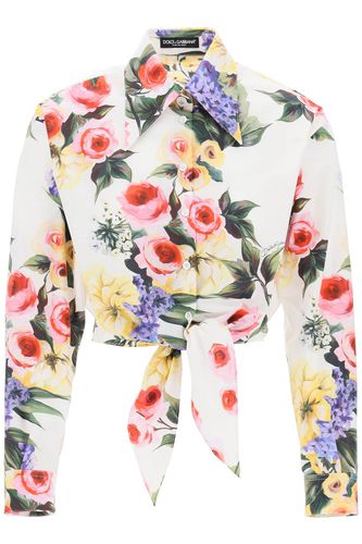 Rose Garden Cropped Shirt - Dolce & Gabbana - Modalova