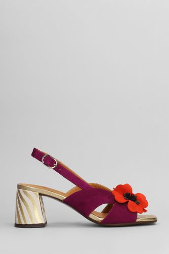 Chie Mihara Sandals In Viola Suede - Chie Mihara - Modalova