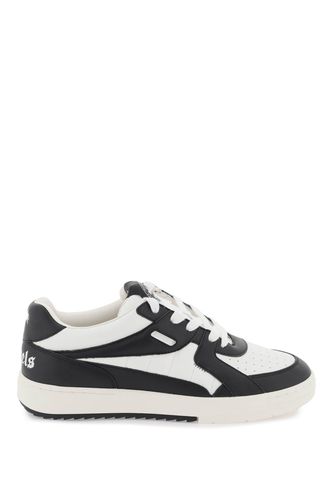 Palm University Leather Sneakers - Palm Angels - Modalova