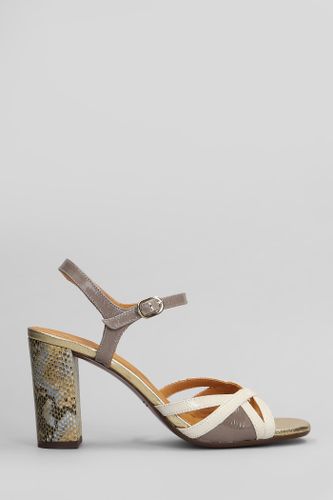 Bemon Sandals In Leather - Chie Mihara - Modalova