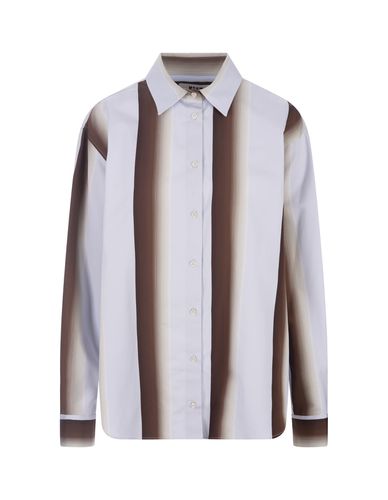 Light Blue Striped Cotton Shirt - MSGM - Modalova