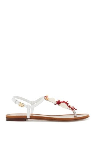 Nappa Flip-flops With Coral - Dolce & Gabbana - Modalova