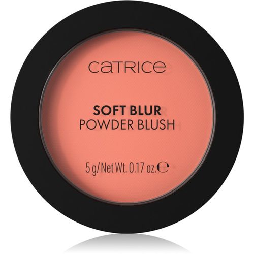 Soft Blur Powder Brush colorete en polvo con efecto mate tono 010 Lychee Lush 5 g - Catrice - Modalova