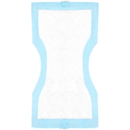 Postpartum Pads compresas posparto Super Absorbent 10 ud - Canpol babies - Modalova