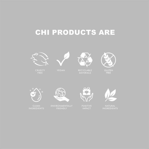 Dry Shampoo champú en seco 198 g - CHI - Modalova