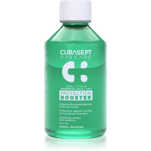 Daycare Protection Booster Herbal Mundspülung 250 ml - Curasept - Modalova